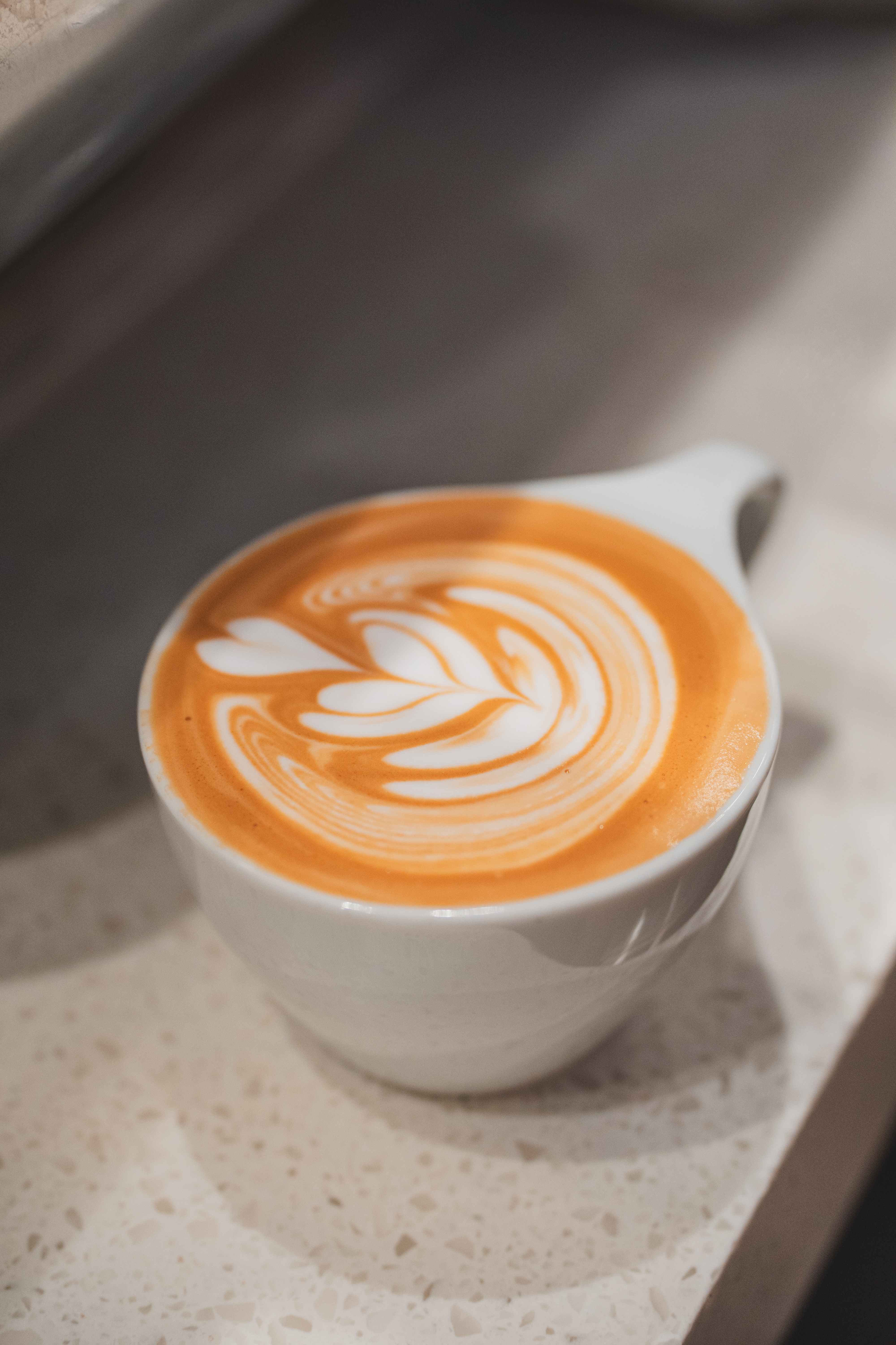 Latte Art Workshop